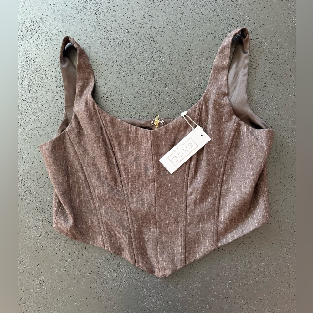 SAGE Pinstripe Brown Zip Closure Corset Size Large NWT - Picture 3 of 6